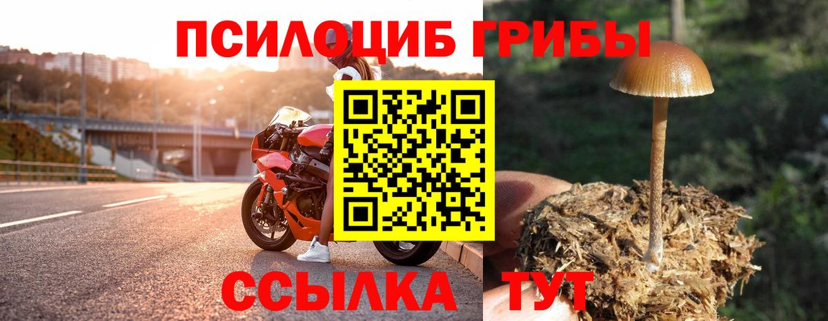 Галлюциногенные грибы Magic Shrooms  Вход с VPN  наркошоп  Дзержинск 
